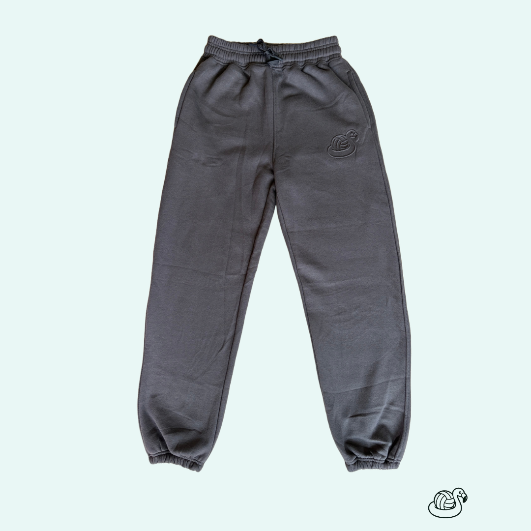Dark gray sweatpants with an elastic drawstring waist and elastic cuffs, shown flat against a pale mint green background.