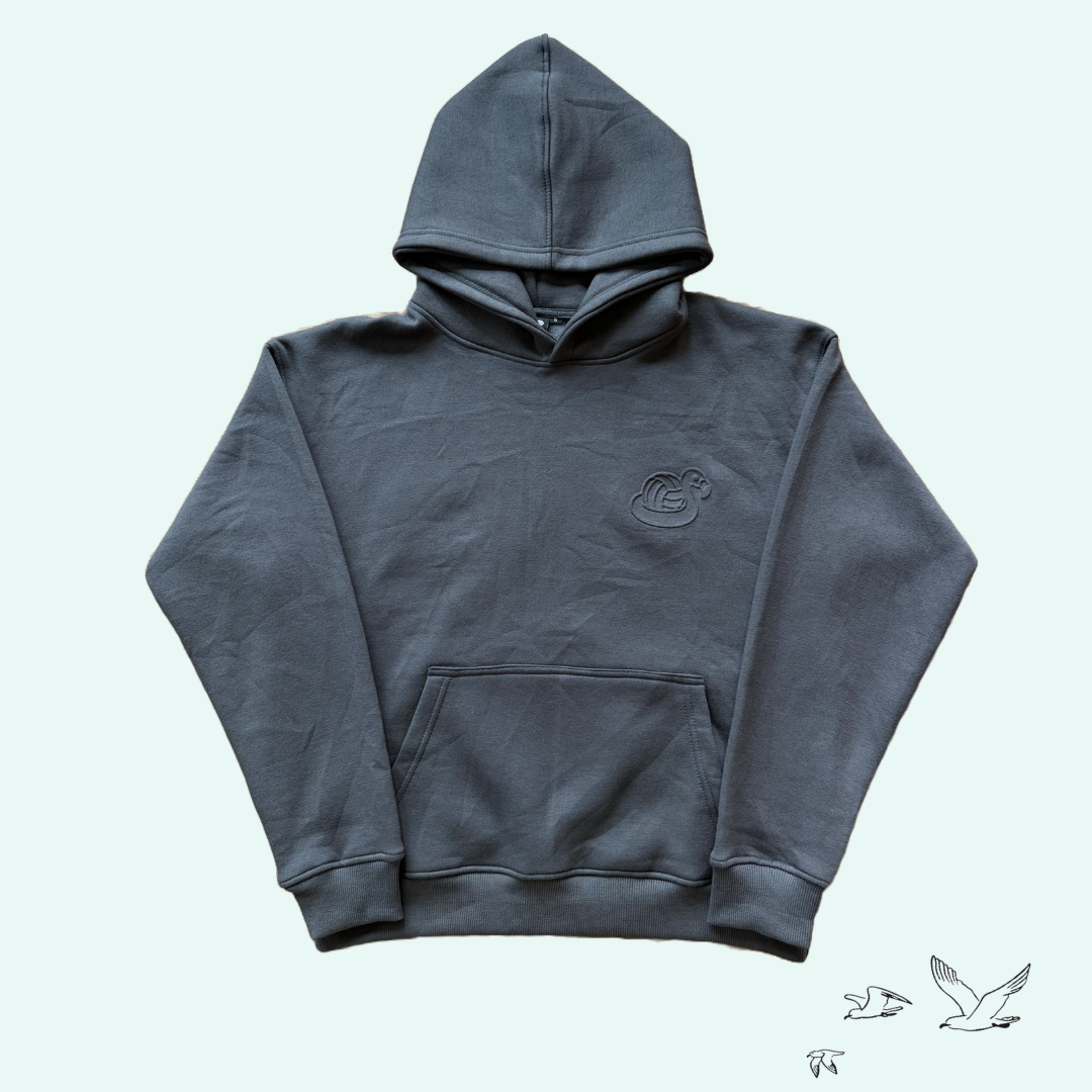 A dark gray washed pullover hoodie with a small circular chest logo, displayed flat against a pale mint green background.